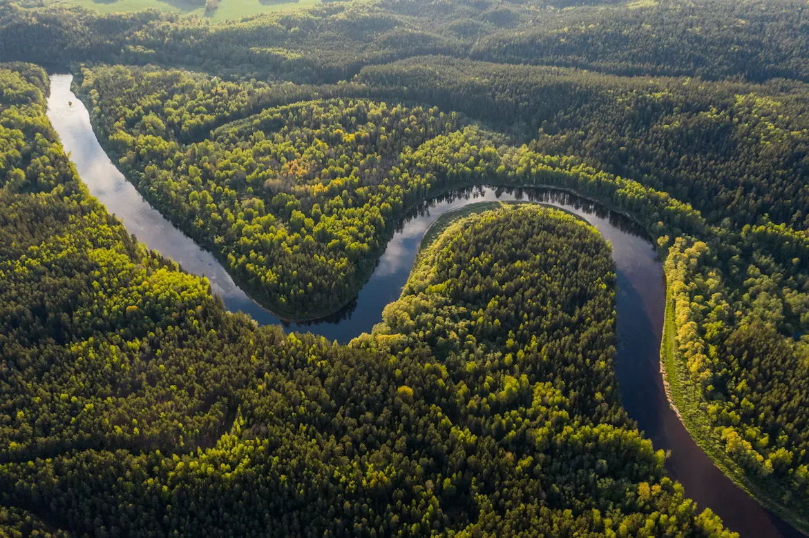 La Cuenca del Río Amazonas y Selva Virgen - 1